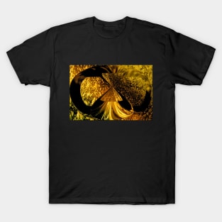 Hourglass Abstract Ornament T-Shirt